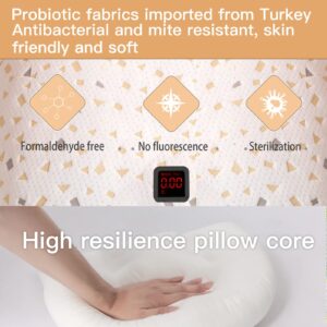 Emachi Pregnancy Pillow for Pregnant Women, Soft Pregnancy Body Pillow, Pillow Used to Support and Relieve Pain or discomfort in The Waist, Abdomen and Buttocks, Detachable Grey.