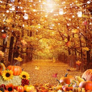 SJOLOON Fall Photo Backdrop Golden Fallen Leaves Autumn Backdrop Pumpkin Thanksgiving Background for Party Decoration Photoshoot 12591 (7x5FT)