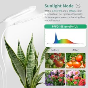 Diivoo Grow Light for Indoor Plants, Full Spectrum Dual Head Grow Lamp with Clips, 10 Level Dimmable Brightness & 4 Automatic Timer, LED Plant Lights with 360 Spin Gooseneck for Potted Flowers, Plant