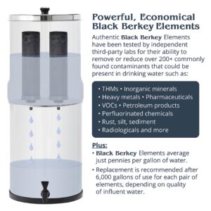 Big Berkey Gravity-Fed Water Filter System 2.25 Gallon with 2 Black Berkey Elements, 2 Berkey PF-2 Fluoride and Arsenic Reduction Elements