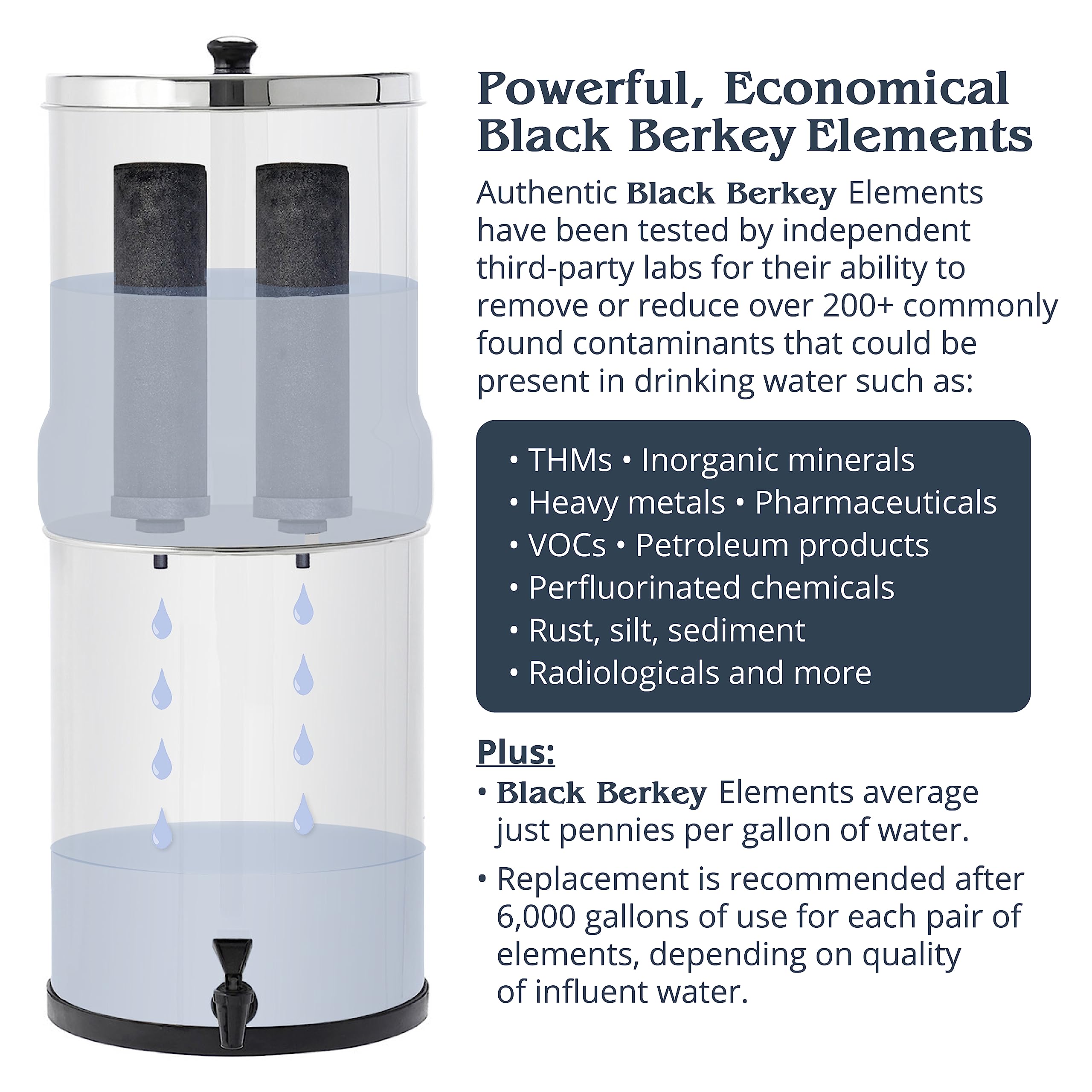 Big Berkey Gravity-Fed Water Filter System 2.25 Gallon with 2 Black Berkey Elements, 2 Berkey PF-2 Fluoride and Arsenic Reduction Elements