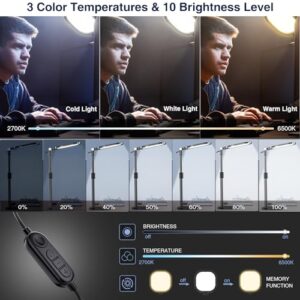 LitONES Desktop Video Conference Light for Zoom Meeting, Computer, Laptop, Work from Home with Nature Soft Light, Adjustable Brightness & Color Temp and Flexible Stand & Versatile Phone Holder