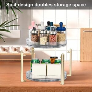 2 Tier Lazy Susan Turntable, Clear Spice Rack Organizer, Perfume Organizer, 360°Rotating Condiment Organizer, Farmhouse Tiered Tray Decorative Trays, for Cabinet, Pantry, Kitchen, Bathroom