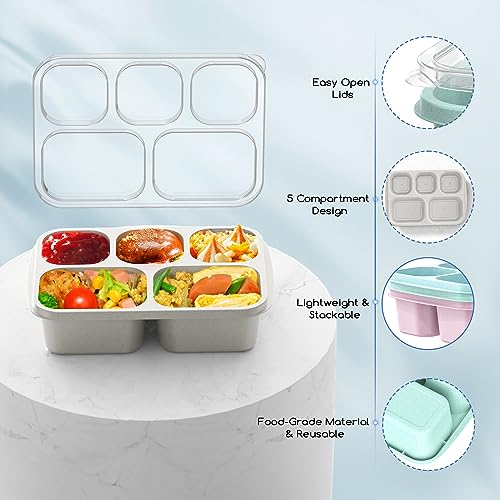 Bento Lunch Box, Bento Box, Reusable Lunch Box Kids with 5 Compartments Meal Prep Containers for Kids and Adults, Lunch Snack Containers with Utensils & Transparent Lids for School, 4 Pack (Wheat)