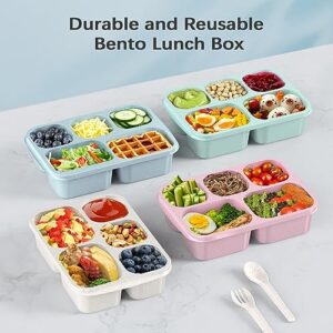 Bento Lunch Box, Bento Box, Reusable Lunch Box Kids with 5 Compartments Meal Prep Containers for Kids and Adults, Lunch Snack Containers with Utensils & Transparent Lids for School, 4 Pack (Wheat)