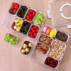 Yuroochii Divided Serving Tray with Handle - Lid & Removable Snack Box 8 Compartment Fruit Container Food Storage Snackle Lunch Organizer Fridge Platter Charcuterie Holder for Travel Candy Party Salad