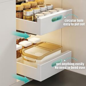 Pull Out Cabinet Organizer, Fixed with Adhesive Film, Slide Out Pantry Shelves, Pull-Out Drawers, Sliding Under Sink Storage Organization, for Kitchen, Living Room, Bathroom, 16.9"D x 11.8"W x 3.1"H