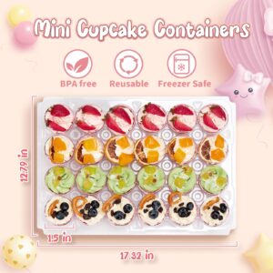 Hlukana (24 Pack x 15 Sets) Mini Cupcake Containers with 375 Pack Cupcake Liners, Plastic Cupcake Holder, Stackable Mini Cupcake Boxes Carrier, Clear Disposable Cupcake Trays, High Dome - MINI SIZE