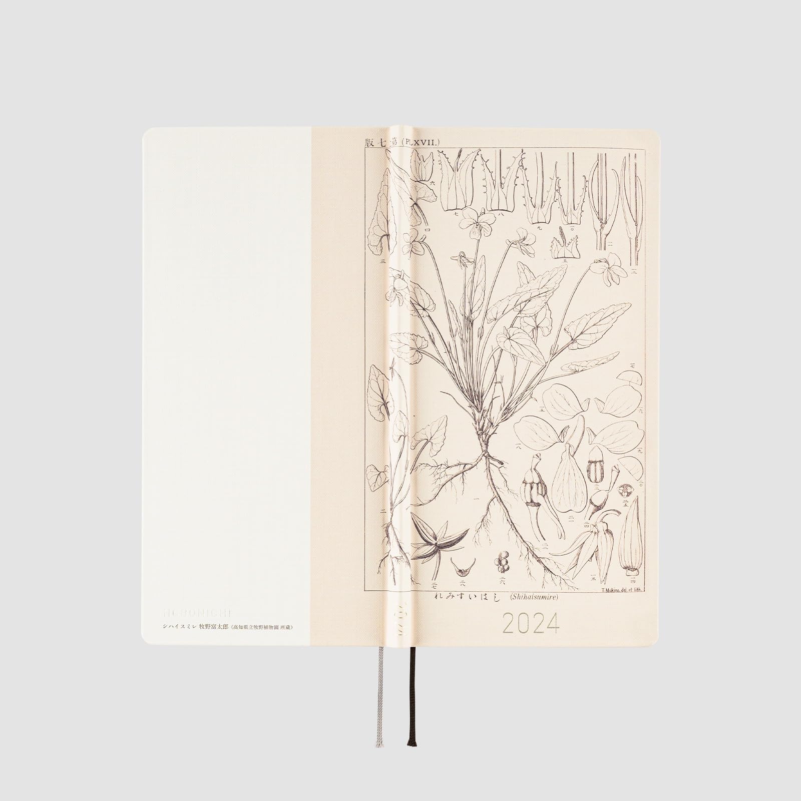 Hobonichi Techo Weeks [English/Tall and Slim Size/January 2024 Start] Tomitaro Makino: Shihai Sumire