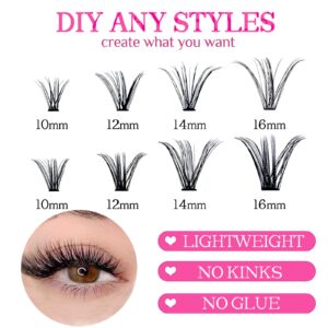 SLSXNL Fluffy Lash Clusters D Curl Individual Lashes 10-16MM 30D 40D Eyelash Clusters 240pcs Cluster Eyelash Extensions 10mm+12mm+14mm+16mm Mix 0.07mm Natural Wispy False Eyelashes