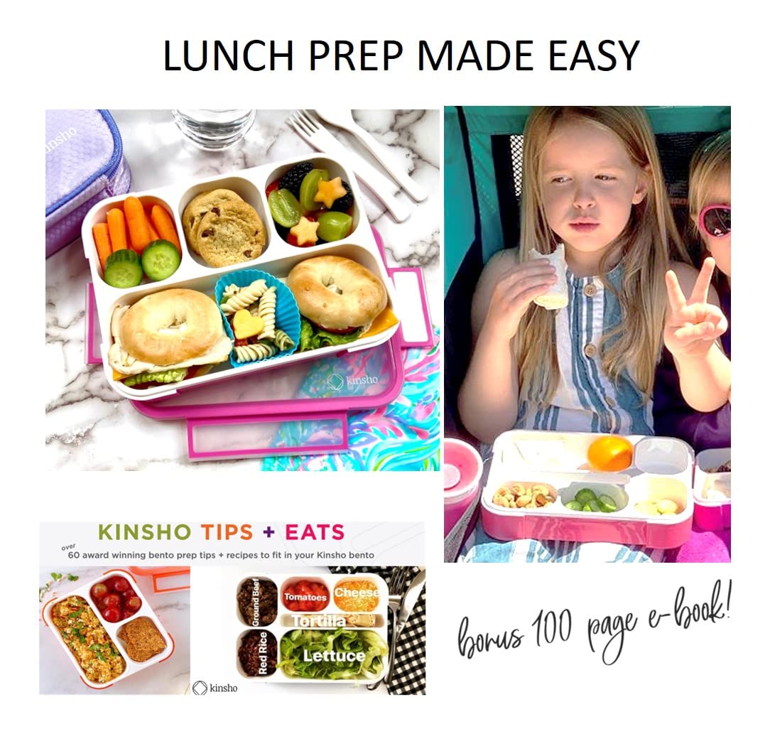 Pink + Coral Bento Lunch Boxes for School or Work, Kids and Adults Bundle of 3