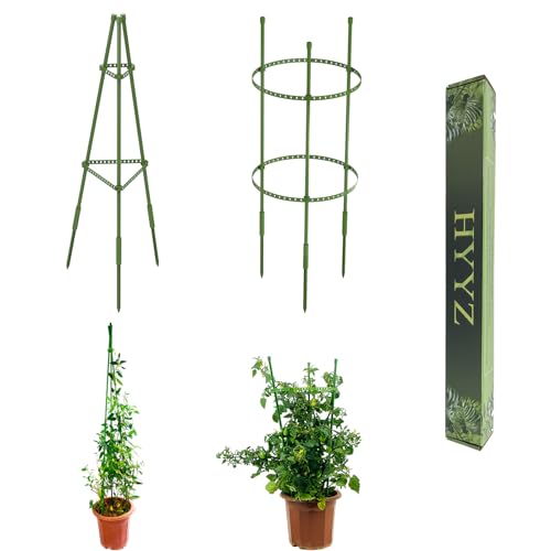 HYYZ Plant Stakes-2pcs 21inch Trellis for Climbing Plants Outdoor, Customizable Peony Cages and Supports, Adjustable Small Tomato Cage, Stackable and Assembleable Garden Trellis in Various Styles.