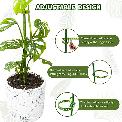 HYYZ Plant Stakes-2pcs 21inch Trellis for Climbing Plants Outdoor, Customizable Peony Cages and Supports, Adjustable Small Tomato Cage, Stackable and Assembleable Garden Trellis in Various Styles.