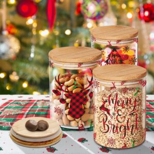 Christmas Plaid Glass Storage Jars Set with Airtight Bamboo Lids - Clear Christmas Home Decor