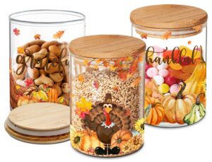 thanksgiving decorations 3 pack glass storage jars with lid, orange farmhouse thanksgiving fall decorations indoor kitchen storage, turkey pumpkins canister sets for counter countertop, container sets