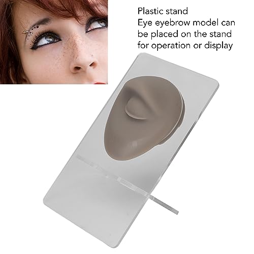 Silicone Eye Eyebrow Model for Jewelry Display, 3D Simulated Piercing Practice Eye Model with Stand (Dark Skin Color)