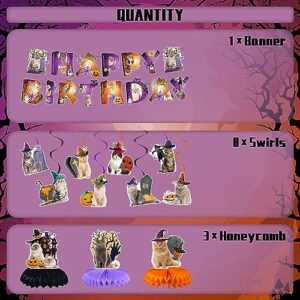 Halloween Cat Birthday Party Supplies Halloween Cat Birthday Party Decorations Includes 1 Birthday Banner, 3 Halloween Cat Honeycomb Centerpieces, 8 Hanging Swirls