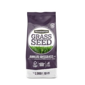 pennington annual ryegrass grass seed 10 lb