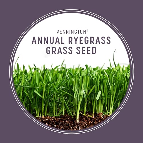 Pennington Annual Ryegrass Grass Seed 10 lb