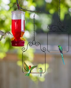 wild bird swings and perches metal frame 2 pack large