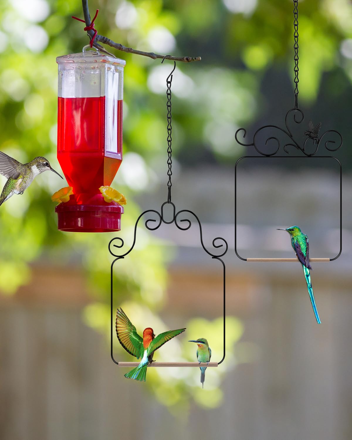 Wild Bird Swings and Perches Metal Frame 2 Pack Large