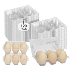 pintuson egg cartons 18 count - 40 pack egg cartons cheap bulk - 3x6 grids plastic egg cartons for fresh eggs, home, farmers market (medium)