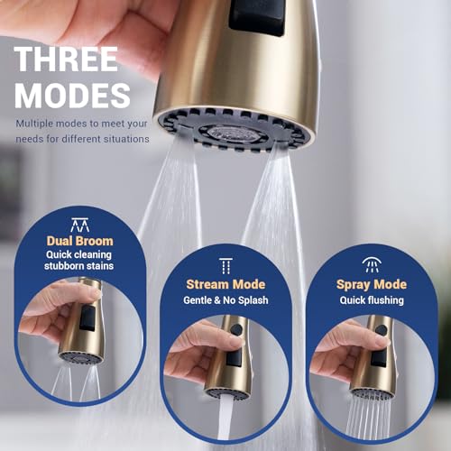 DAYONE Champagne Gold Kitchen Faucet with Soap Dispenser, Brushed Gold Kitchen Sink Faucet with Pull Down Sprayer 3 Modes, Gold Stainless Steel Faucet for 2 Holes Kitchen Sink, DAY-CR0016