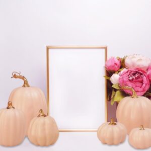 Winlyn 10 Pcs Assorted Artificial Blush Pink Pumpkins Decorative Fall Pumpkins Foam Pastel Light Pink Pumpkins for Fall Farmhouse Autumn Wedding Halloween Party Thanksgiving Festive Table Centerpiece