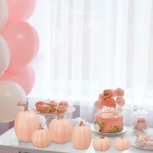 Winlyn 10 Pcs Assorted Artificial Blush Pink Pumpkins Decorative Fall Pumpkins Foam Pastel Light Pink Pumpkins for Fall Farmhouse Autumn Wedding Halloween Party Thanksgiving Festive Table Centerpiece