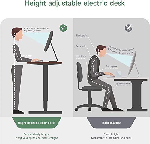 Dripex Adjustable Electric Standing Desk 1, 43 inch, White