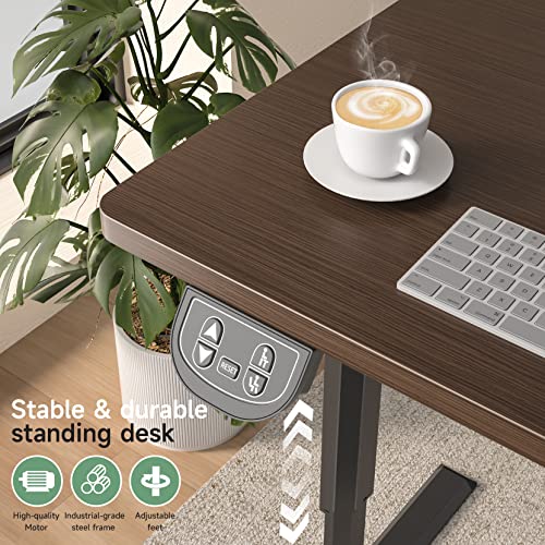 Dripex Adjustable Electric Standing Desk 1, 43 inch, White