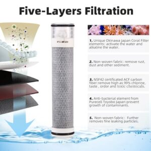 Pure Take Carbon Filters High Pressure Shower Head Handheld, Remove Chlorine, Chloramine, Fluoride,Heavy Metals, Toxic Chemicals Reduces Dry Itchy Skin.5 Spray Mode for Hard Water with Hose Bracket