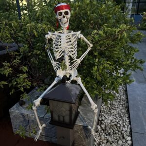 3ft skeleton for halloween full size with 20g spider web and ribbons,human realistic skull hand life body poseable decor with posable joints for outdoor decorations props - box packaging
