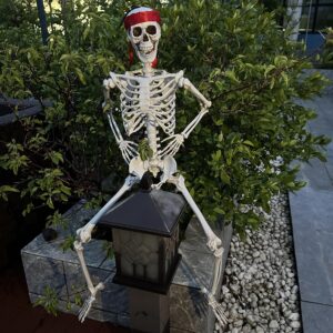 3FT Skeleton for Halloween Full Size with 20G Spider Web and Ribbons,Human Realistic Skull Hand Life Body Poseable Decor with Posable Joints for Outdoor Decorations Props - Box Packaging