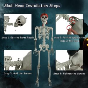 XMxoTxo 3FT Halloween Skeleton Decorations,Plastic Halloween Body Skeleton Prop for Halloween Decor Outdoor/Indoor