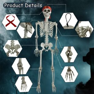 XMxoTxo 3FT Halloween Skeleton Decorations,Plastic Halloween Body Skeleton Prop for Halloween Decor Outdoor/Indoor