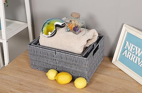 Elevon Handmade Wicker Storage Baskets Organizer Bins, Set of 3, Gray