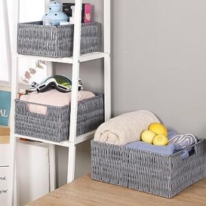 Elevon Handmade Wicker Storage Baskets Organizer Bins, Set of 3, Gray