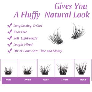 SQYlashes Eye Lash Clusters D Curl, Individual Lashes Cluster Eyelash Extensions, 100PCS Natural DIY Lash Extensions at Home (D24, Mix 8-16mm)