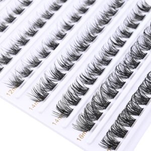 SQYlashes Eye Lash Clusters D Curl, Individual Lashes Cluster Eyelash Extensions, 100PCS Natural DIY Lash Extensions at Home (D24, Mix 8-16mm)