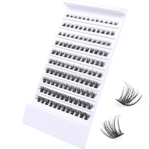 SQYlashes Eye Lash Clusters D Curl, Individual Lashes Cluster Eyelash Extensions, 100PCS Natural DIY Lash Extensions at Home (D24, Mix 8-16mm)