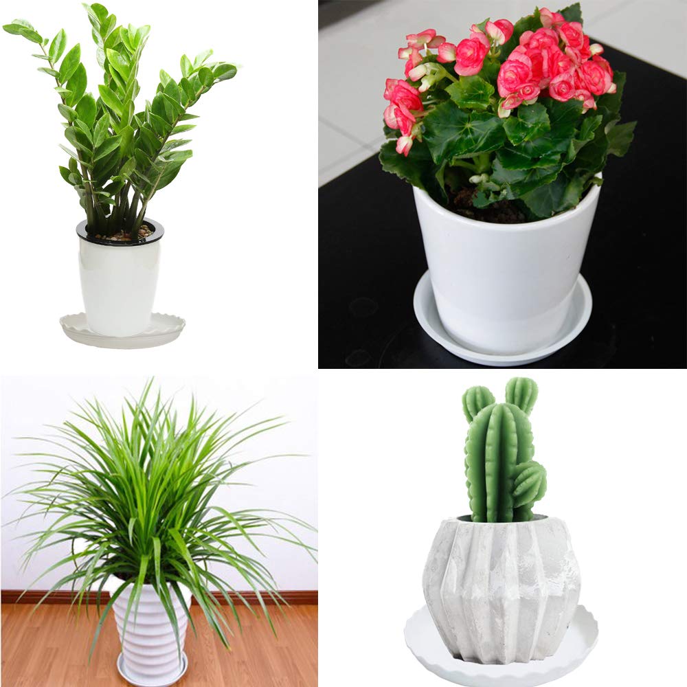 YUANAIYI 12 Packs Wave Plant Saucer - Plastic Flower Pot Drip Trays/Durable Heavy Duty White Plant Tray for Indoor and Out Door Plant(6/8/10 inch)