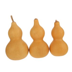 imikeya 3pcs gourd ornaments feng shui luck and treasure gourd bottle flask natural dried gourd housewarming gifts chinese wu ornament chinese wu gourd white skin natural gourd china