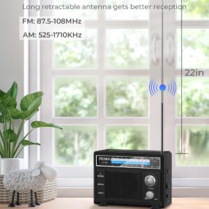 PRUNUS Portable Radio AM FM, Transistor Radio Battery Operated and Plug in Wall,Loud Speaker Support AUX in and Micphone in, Small Radios Portable AM FM J-136