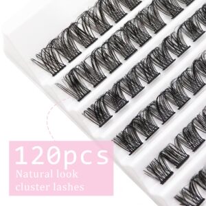 Ahrikiss Lash Clusters 120pcs D Curl Cluster Lashes 8-16mm Eyelash Clusters Wispy Individual Lashes Natural Look DIY Lash Extensions at Home Handmade Fluffy Eyelash Extension Clusters (Doris)