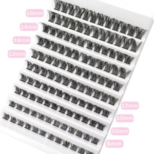 Ahrikiss Lash Clusters 120pcs D Curl Cluster Lashes 8-16mm Eyelash Clusters Wispy Individual Lashes Natural Look DIY Lash Extensions at Home Handmade Fluffy Eyelash Extension Clusters (Doris)