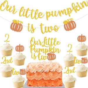 fall pumpkin 2nd birthday party decoration our little pumpkin is two banner cake cupcake topper glitter autumn birthday party supplies