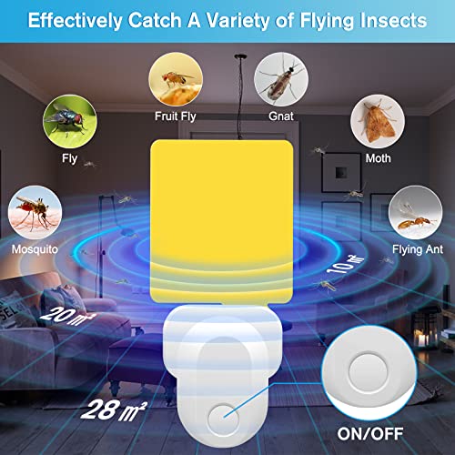 Flying Insect Trap Plug-In, Upgrade Gnat Traps for House Indoor, Safe Non-Toxic Gnat Fruit Fly Killer Trap UV Light Attractant Bug Zapper Indoor Bug Light Trap with Sticky Pad for Flies, Gnats -1 Pack