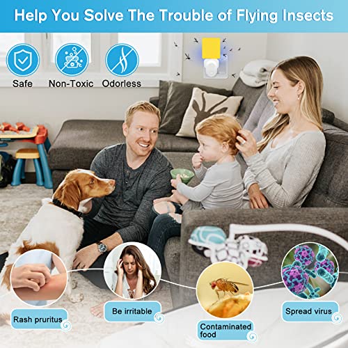 Flying Insect Trap Plug-In, Upgrade Gnat Traps for House Indoor, Safe Non-Toxic Gnat Fruit Fly Killer Trap UV Light Attractant Bug Zapper Indoor Bug Light Trap with Sticky Pad for Flies, Gnats -1 Pack