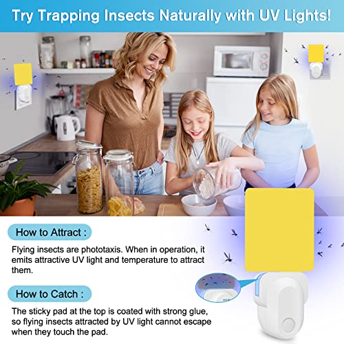 Flying Insect Trap Plug-In, Upgrade Gnat Traps for House Indoor, Safe Non-Toxic Gnat Fruit Fly Killer Trap UV Light Attractant Bug Zapper Indoor Bug Light Trap with Sticky Pad for Flies, Gnats -1 Pack